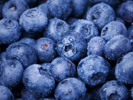 點(diǎn)擊查看詳細(xì)