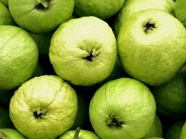 點(diǎn)擊查看詳細(xì)